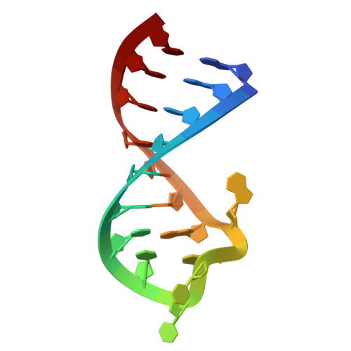 RNA 3D structure (PDB: 8K8B)